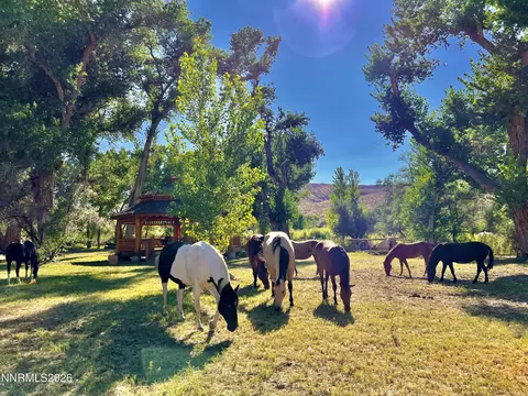156 E Walker Rd, Yerington, NV 89447 photo 28
