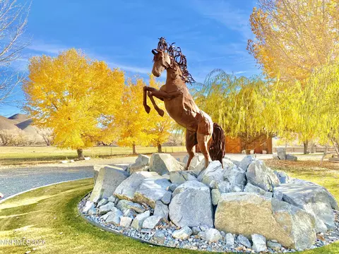 156 E Walker Rd, Yerington, NV 89447 photo 29
