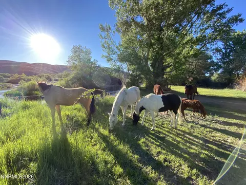 156 E Walker Rd, Yerington, NV 89447 photo 26