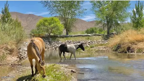 156 E Walker Rd, Yerington, NV 89447 photo 25