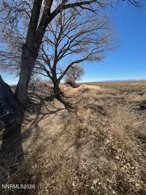 40 23 Acres Workman Rd, Fallon, NV 89406 photo 3