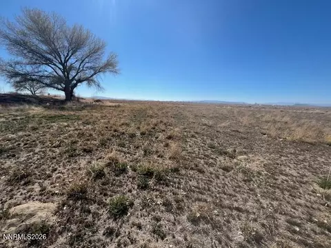 40 23 Acres Workman Rd, Fallon, NV 89406 photo 5