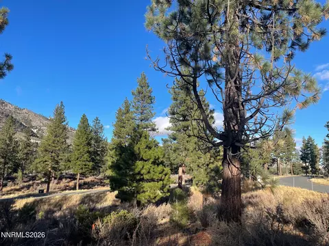 160 Walton Toll Rd #184, Carson City, NV 89705