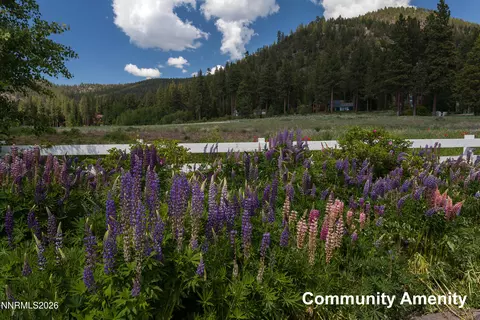 View/Area - 2147 The Back Rd, Glenbrook, NV 89413 photo 3 of 6