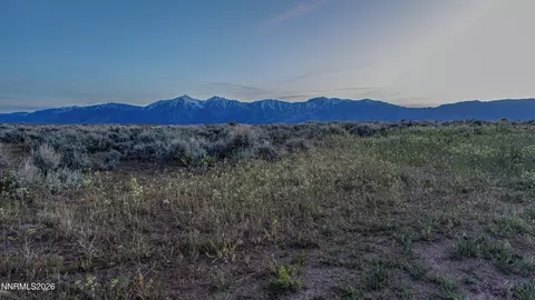 1920 Eldon Way, Minden, NV 89423 photo 46