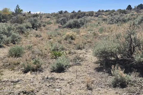 355 Shakehill Rd, Markleeville, CA 96120 photo 13