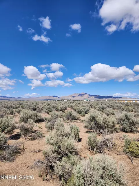 2101 State Route 208, Smith, NV 89430 photo 3