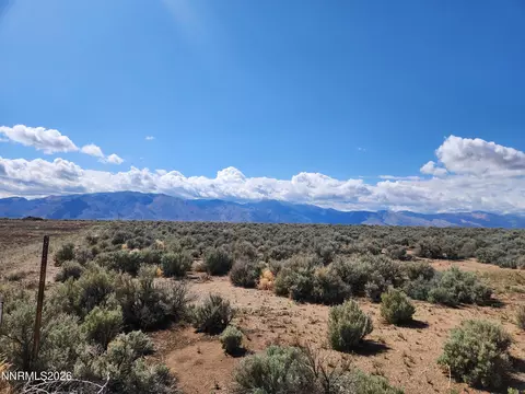 2101 State Route 208, Smith, NV 89430 photo 2