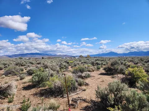 2101 State Route 208, Smith, NV 89430 photo 4