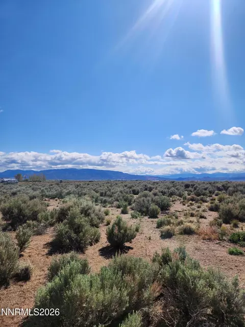 2101 State Route 208, Smith, NV 89430 photo 5