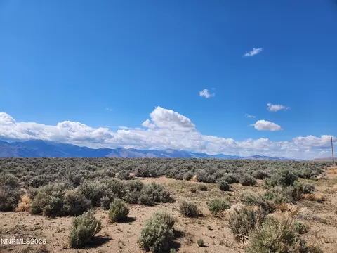 42 Acciari Rd, Smith, NV 89430 photo 9