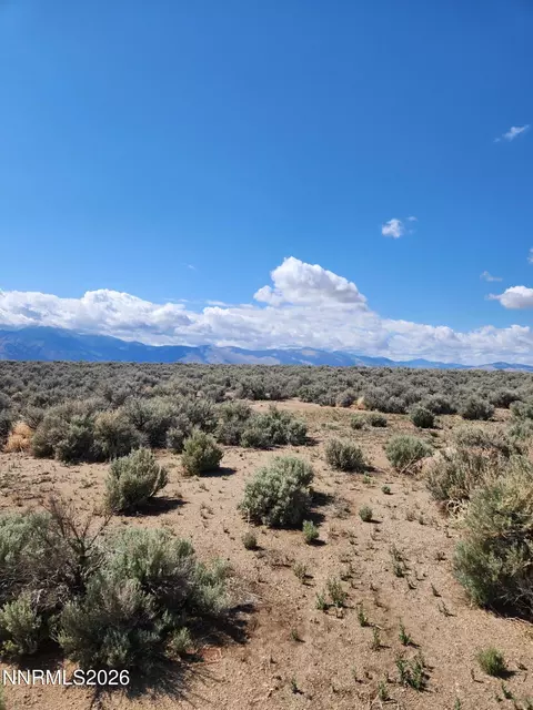42 Acciari Rd, Smith, NV 89430 photo 8