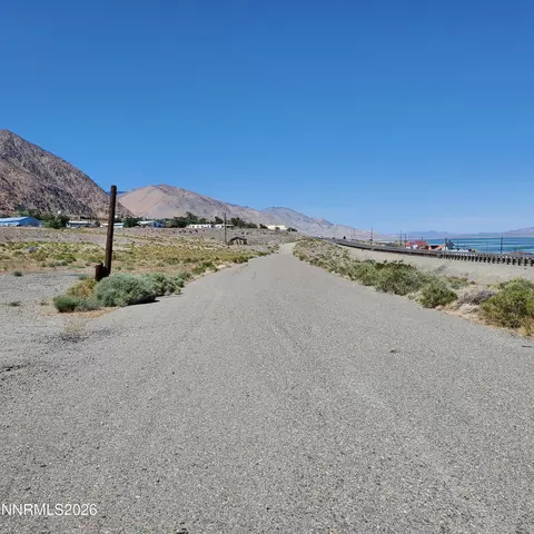 00 Golden Willow Cottonwood, Walker Lake, NV 89415