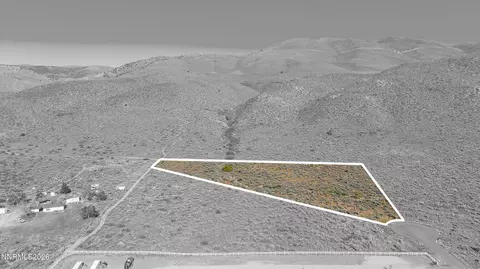 0 Ellireese Ct, Washoe Valley, NV 89704