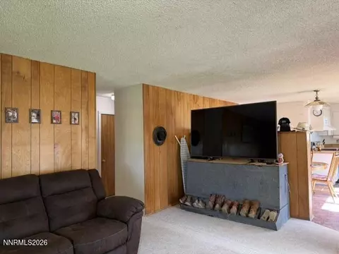 Other - 61 Rivers Rd, Smith, NV 89430 photo 15 of 32