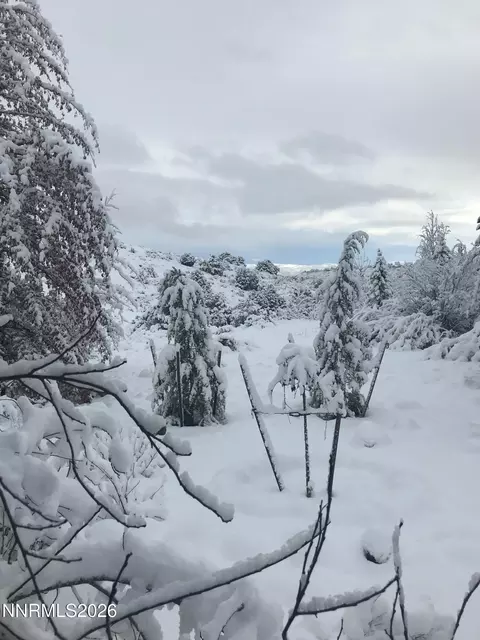 Other - 4435 Sharps Rd, Reno, NV 89519 photo 13 of 13