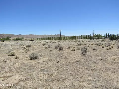 603 Pete Hendrichs Rd, Yerington, NV 89447
