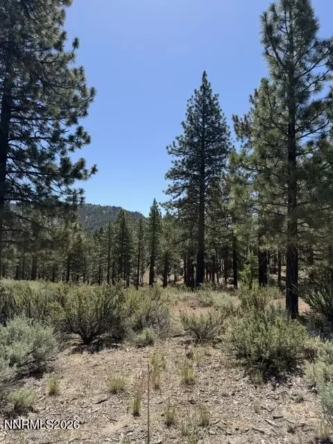 205 Haskell Mill Ct, Carson City, NV 89705