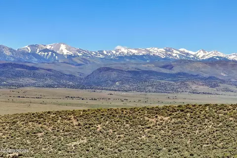 4255 Bosler Way, Wellington, NV 89444