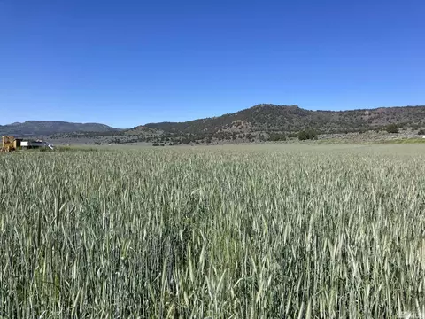 11069 Mosquito Rd, Gerlach, NV 89412