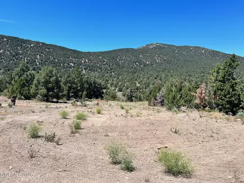 tbd P14 #76, Minden, NV 89423