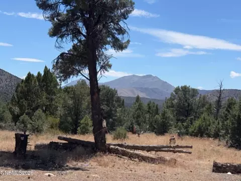 tbd P14 #76, Minden, NV 89423 photo 15