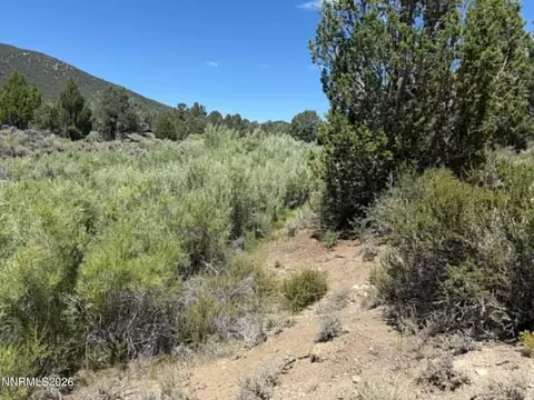 tbd P14 #76, Minden, NV 89423 photo 10