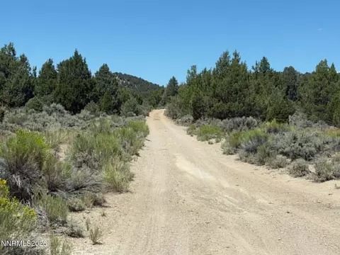 tbd P14 #76, Minden, NV 89423 photo 14