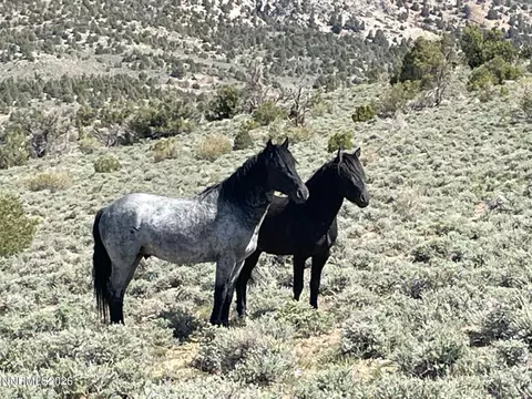tbd P14 #76, Minden, NV 89423 photo 2
