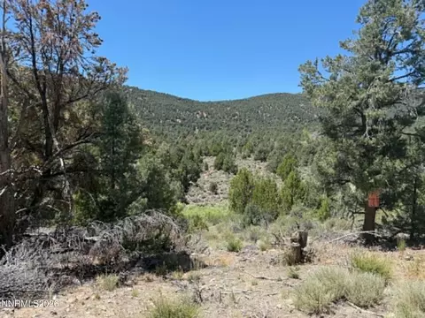 tbd P14 #76, Minden, NV 89423 photo 12