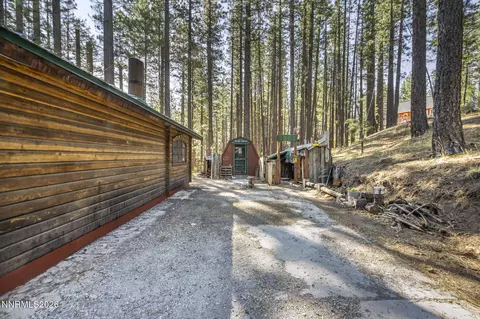 Exterior - 77 Ox Bow, Markleeville, CA 96120 photo 5 of 10