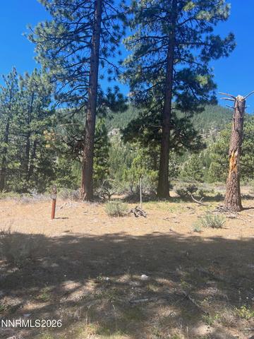 3559 Knob Point Trl #90, Carson City, NV 89705