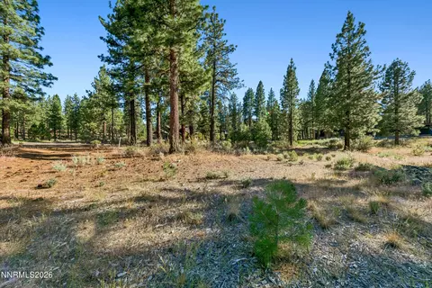238 Redding Way, Carson City, NV 89705