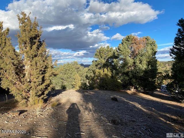 21650 Palamino Rd, Reno, NV 89521