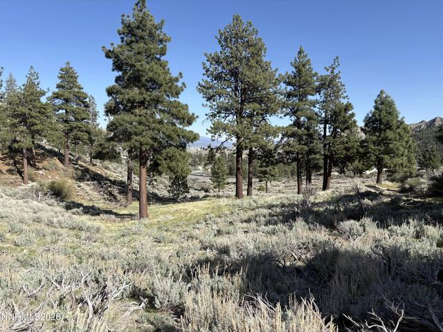 5000 W Hwy 50 #., Carson City, NV 89705