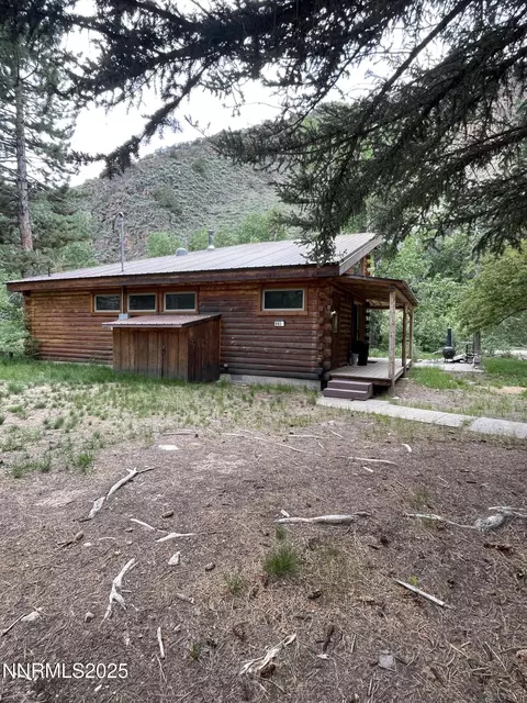 Exterior - 993 E Side Ave, Jarbidge, NV 89826 photo 2 of 10