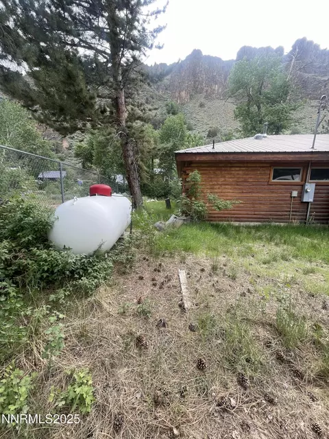 Exterior - 993 E Side Ave, Jarbidge, NV 89826 photo 7 of 10