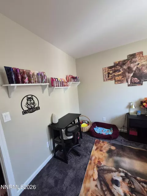 Other - 1247 Deerfield Dr, Fallon, NV 89406 photo 5 of 19