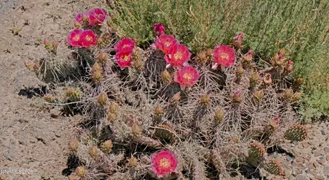 0 Charleston-deeth County Rd, Deeth, NV 89823 photo 7