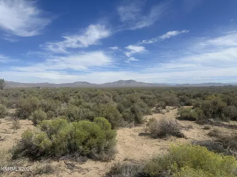 48 Burke Dr, Wellington, NV 89444
