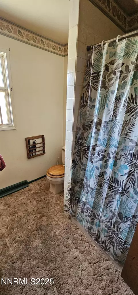 Bath - 316 Toiyabe Rd, Austin, NV 89310 photo 2 of 4
