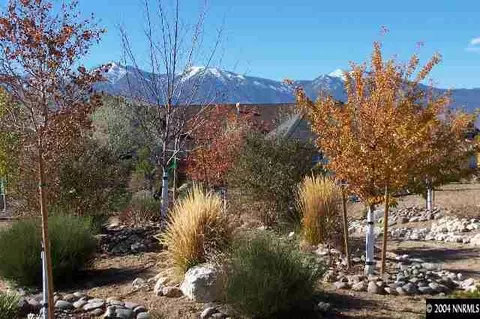 2817 East Vly, Minden, NV 89423 photo 8