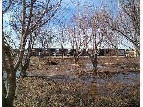 14464 North Loop, Clint, TX 79836 photo 5