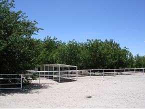 14265 N Loop Rd, Clint, TX 79836 photo 3