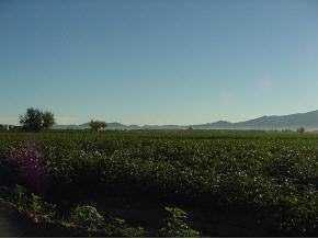 480 Wallace Rd, La Union, NM 88008 photo 4
