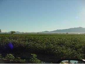 480 Wallace Rd, La Union, NM 88008 photo 3
