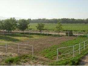 350 Chile Patch, La Union, NM 88021 photo 2