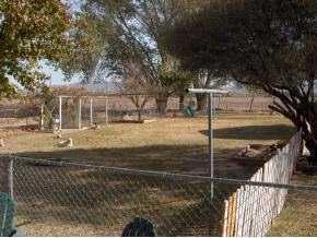 302 Joy, Anthony, NM 88021 photo 9