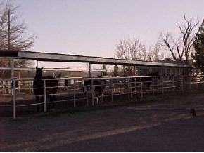 2 Double Eagle, La Union, NM 88021 photo 4