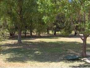 1245 Webb Rd, Anthony, NM 88021 photo 2